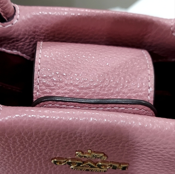 Coach Mini Crossbody (NWOT) Never Used. New. Price Is Negotiable - Picture 9 of 17